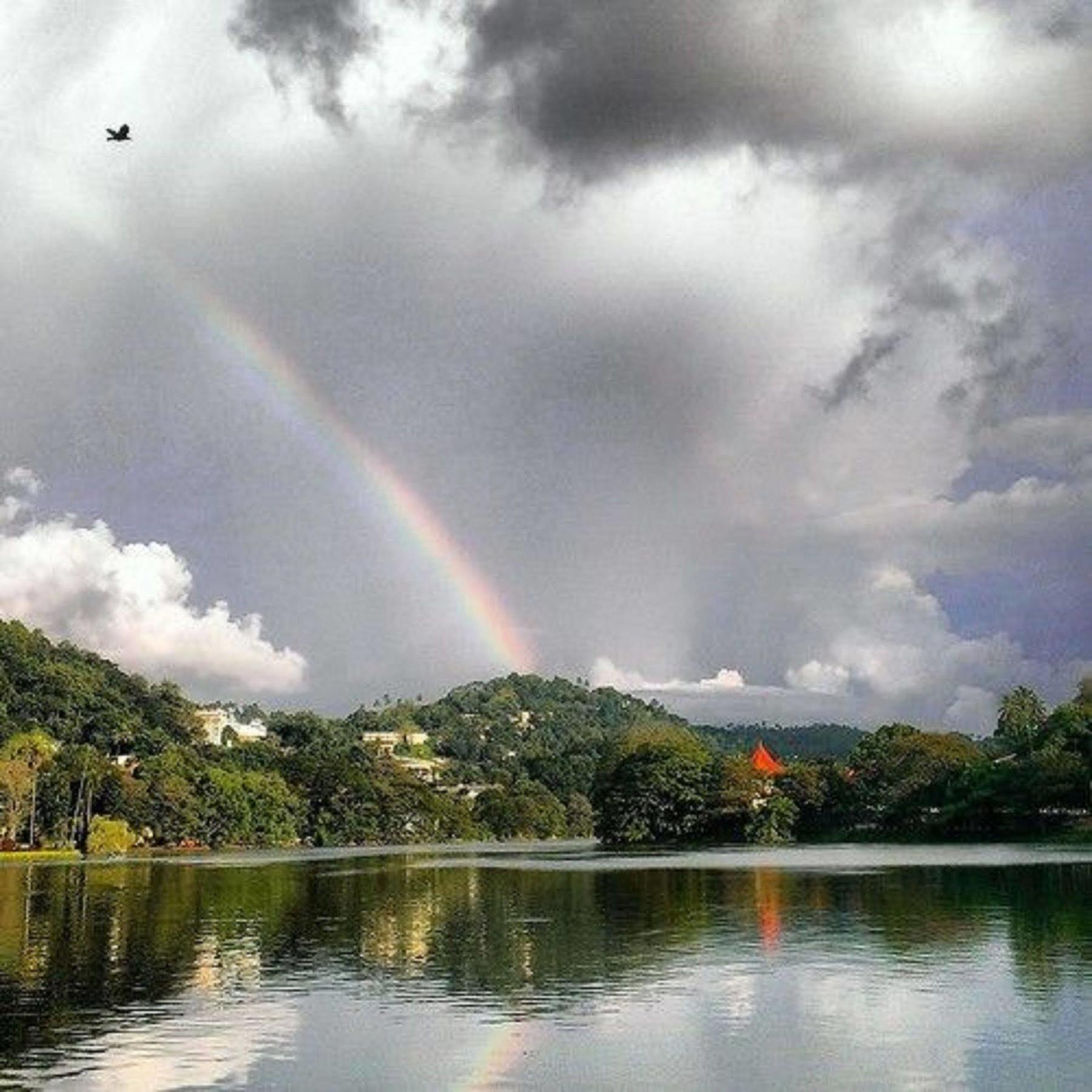 Kandy Walkers Hostel Tennekumbura Dış mekan fotoğraf